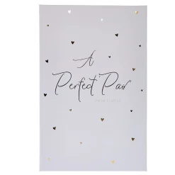 Card Factory A Perfect Pair Twin Champagne Flutes