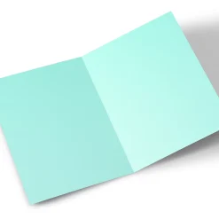 Clearance A4 Photo Valentine's Day Card - Dragon Blowing Heart Photo