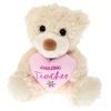 Card Factory Amazing Teacher Bear Soft Toy