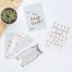 Sale Baby Milestone Cards - Pack of 22 Bags & Favours|Gender Reveal Party