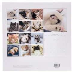 Kids Card Factory Cats & Kittens 2026 Square Wall Calendar