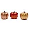 Card Factory Decorative Pumpkin Minis - Pack of 3