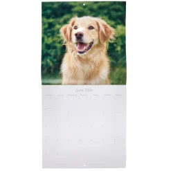 Sale Dogs & Puppies 2026 Square Wall Calendar Kids Calendars & Diaries|Birthday Gifts