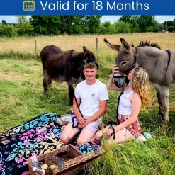 Best Donkey Picnic for Four at Dashing Donkeys Gift Experience Day Kids Experience Days|Gifts For Kids