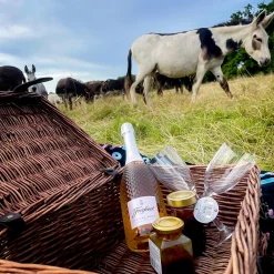 Best Donkey Picnic for Four at Dashing Donkeys Gift Experience Day Kids Experience Days|Gifts For Kids