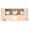 Discount Fruit Fayre Set Of 3 Scented Candles Scented Candles|Birthday Gifts