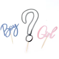 Card Factory Gender Reveal Party Bundle