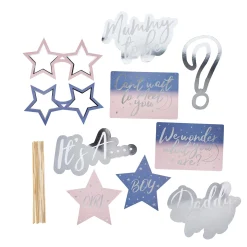 Best Gender Reveal Photo Booth Props - Pack of 10 Bags & Favours|Gender Reveal Party