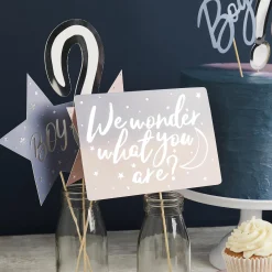 Best Gender Reveal Photo Booth Props - Pack of 10 Bags & Favours|Gender Reveal Party