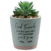 Card Factory Good Friends Root For Each Other Artificial Succulent