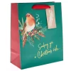 Card Factory Green Robin Medium Portrait Christmas Gift Bag