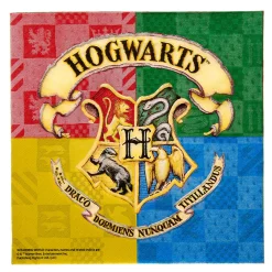 Card Factory Harry Potter Birthday Party Tableware & Decorations Bundle - 16 Guests