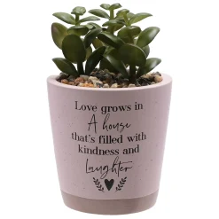 Best Love Grows In A House Artificial Succulent Jewellery & Keepsakes|New Home Gifts