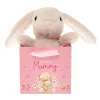 New Lovely Mummy Cute Bunny Soft Toy in a Bag Soft Toys