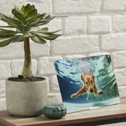 Card Factory Personalised Acrylic Landscape Print 30cm x 20cm