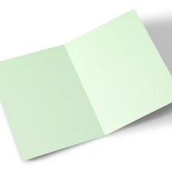 New Personalised Belated Birthday Card - Tortoise BOY For Friend|For Boyfriend