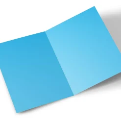 Outlet Personalised Birthday Card - Guinea Pig King Birthday|For Him