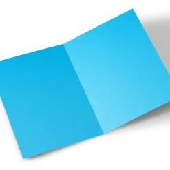 BOY Card Factory Personalised Birthday Card - Party Pug, Editable Age