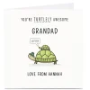 Card Factory Personalised Card - Turtlely Awesome Grandad