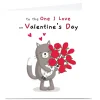 Clearance Personalised Dumpling Green Valentine's Day Card - Cat & Roses Photo