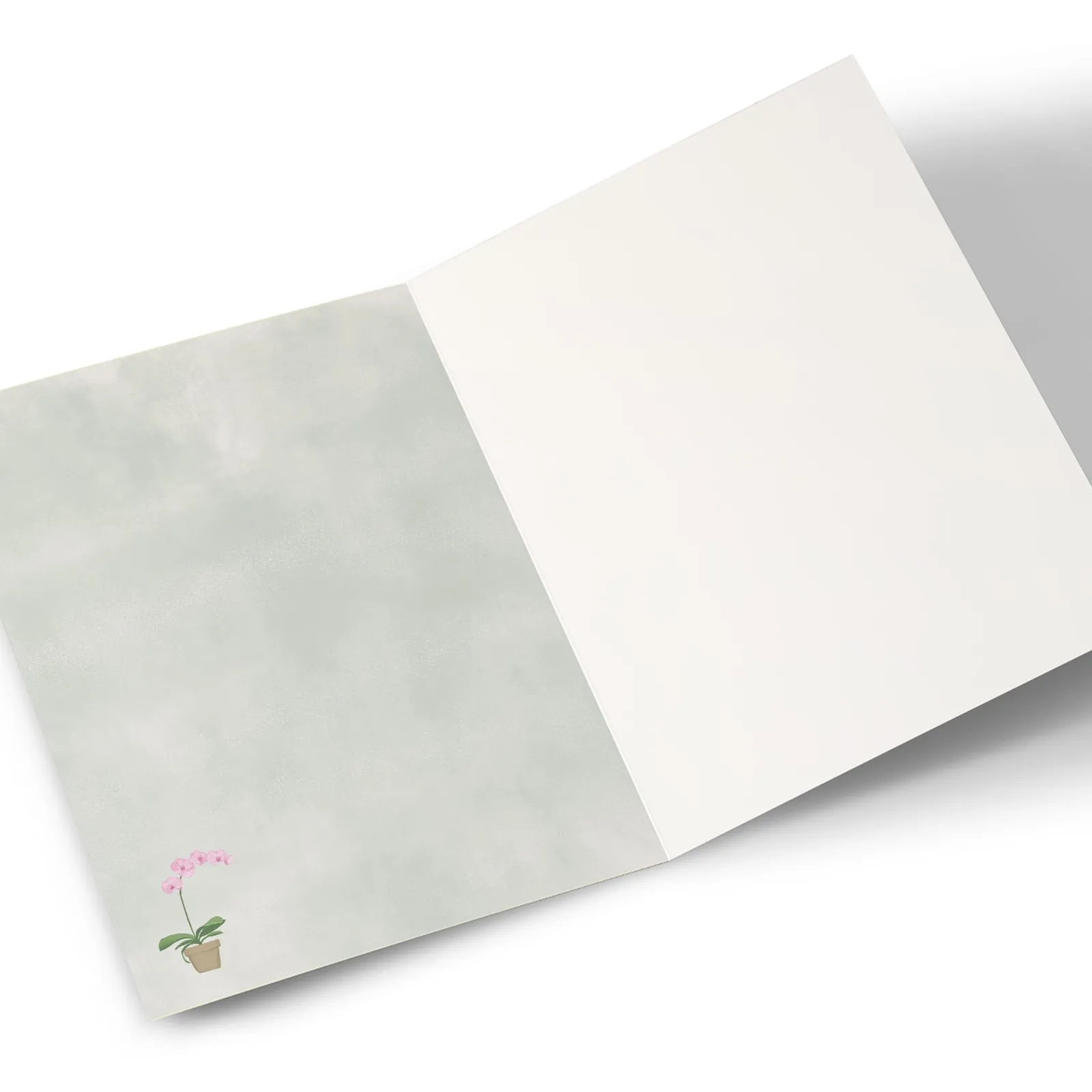 Online Personalised New Home Card - House Plants New Home