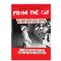 New Personalised Quitting Hollywood Christmas Card - From the Cat Funny|Christmas