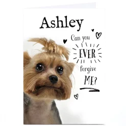 Personalised Sorry Card - Can You Ever Forgive Me? Funny