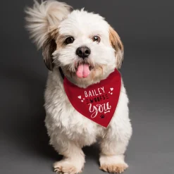 Card Factory Personalised Woofs You Dog Bandana