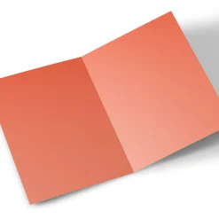 Discount Photo Birthday Card - Birthday Wishes, Pink and Green Print For Sister|For Niece