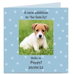 Card Factory Photo Card - New Pet, Welcome To The Family
