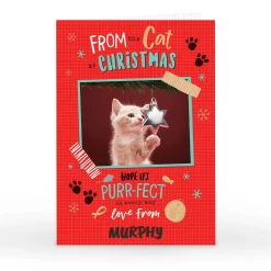 Discount Photo Christmas Card - From The Cat Christmas|Photo