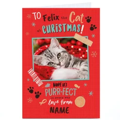 Online Photo Christmas Card - To [Name] The Cat Christmas|Photo
