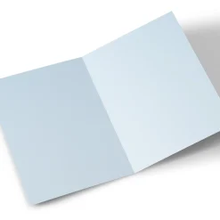 Card Factory Photo Christmas Card - Traditional Robin, Wonderful Couple