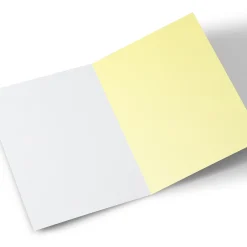 Discount Photo Hugs Bear Easter Card - Bear Couple Fence Photo