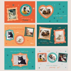Card Factory Photo Upload Cats Calendar