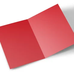 Card Factory Photo Valentine's Day Card - From the Pet, To My Favourite Human