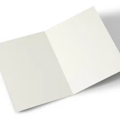 Card Factory Photo Valentine's Day Card - One I Love More & More