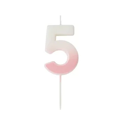 Clearance Pink Ombre Number Cake Candle (0-9) Cake Candles|Birthday Party