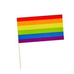 Card Factory Rainbow Paper Flags - Pack of 6