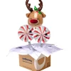 Kids Card Factory Reindeer and Candy Cane Balloon Bouquet - DELIVERED INFLATED!