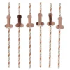 Outlet Rose Gold Willy Straws - Pack of 6 Bags & Favours|Hen Party