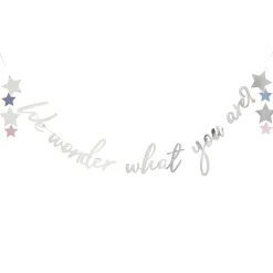 Best Silver We Wonder What You Are? Card Banner 2m Banners & Bunting|Gender Reveal Party