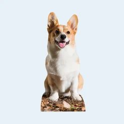 Card Factory Small Personalised Photo-Upload Cardboard Cutout - 90cm