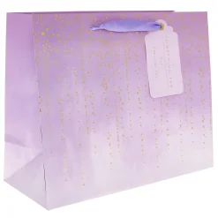 Card Factory Something Fab Large Landscape Gift Bag