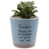 Card Factory Thank You Teacher Artificial Plant