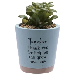 Card Factory Thank You Teacher Artificial Plant