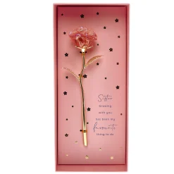 Discount Wonderful Sister Ornamental Flower Jewellery & Keepsakes|Birthday Gifts